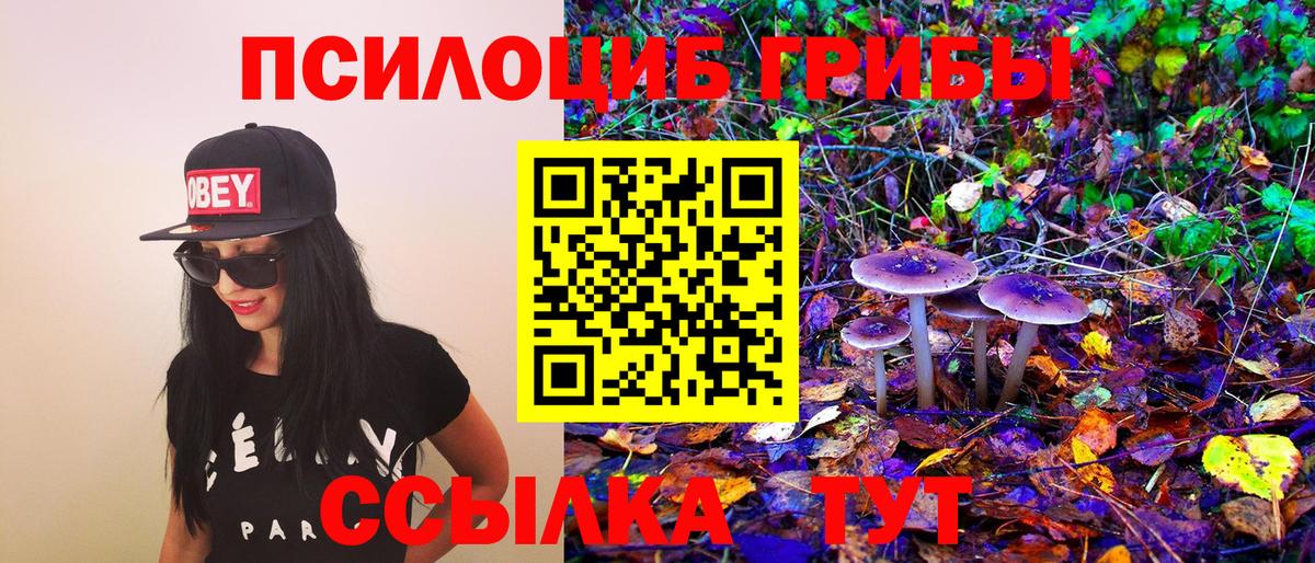 Галлюциногенные грибы прущие грибы  Вход с VPN  Костомукша 