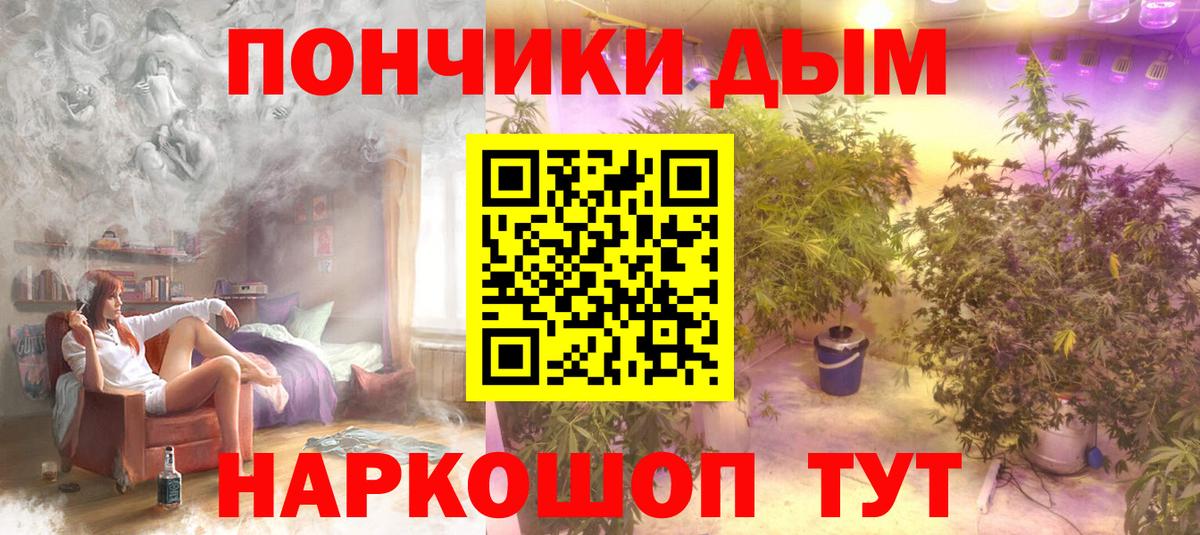 Бошки марихуана индика  Вход с VPN  Конопля марихуана  Марихуана план  Марихуана конопля  Костомукша 